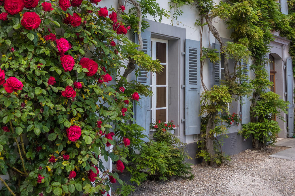 Chateau De Bossey Bogis-Bossey Eksteriør billede